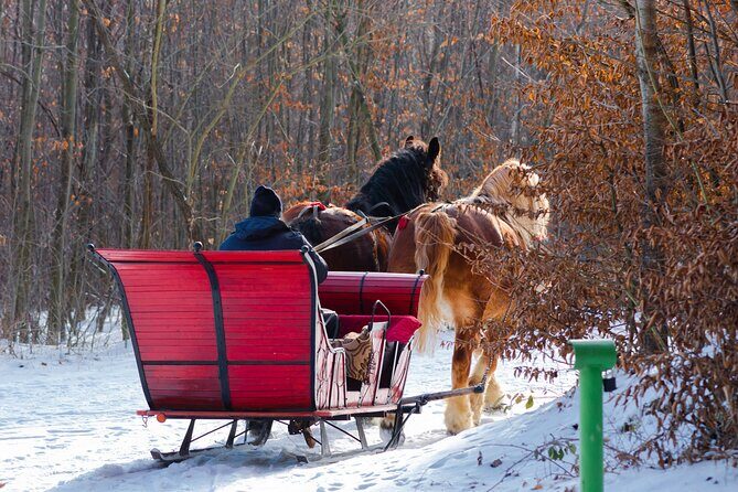 Zakopane Horse-Drawn Rides with Local Guide and Food Tasting - Value for Your Time in Zakopane: Why This Bundle Works