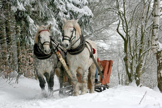 Zakopane Horse-Drawn Rides with Local Guide and Food Tasting - Hotel Pickup and Timing That Actually Reduces Stress