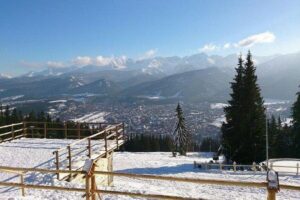 Zakopane: Sightseeing Tour from Krakow - Krupówki on Zakopane’s main street: shopping, snacks, and real tempo