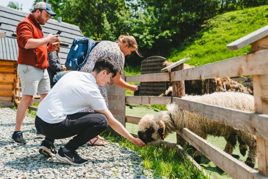 Zakopane & Tatra Mountains from Krakow – Guided Tour - Key highlights you will actually use