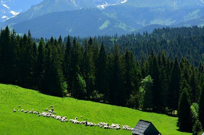 ZAKOPANE & THERMAL SPRINGS, Funicular, Cheese Tasting - Chochołów wooden village and the oscypek shepherd’s-hut stop