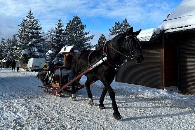 Zakopane Tour from Krakow with Thermal SPA and Hotel Pick up - Morning Logistics: Krakow Pickup and a 9:00 AM Start